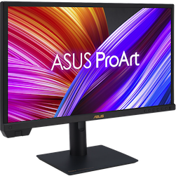 Asus ProArt 24US